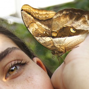 Athina Butterfly Edit